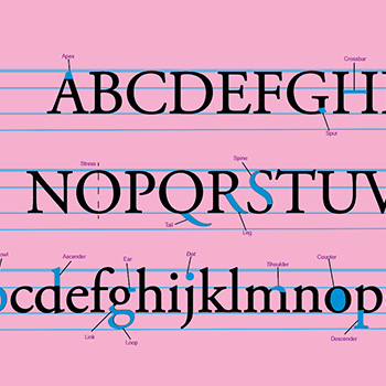 Typography Poster